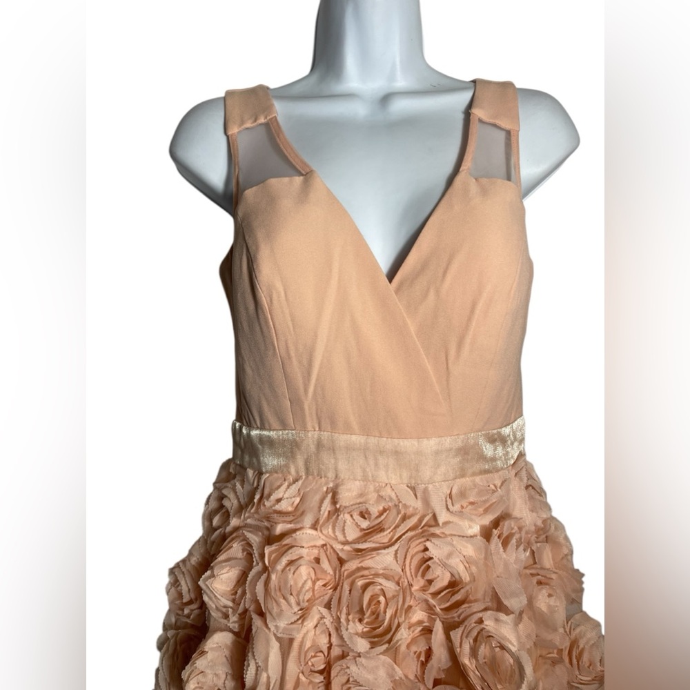 A Drea dress size small beautiful blush pink fit-n-flare sheer back mini dress‎ - Picture 3 of 10